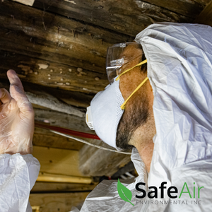 indoor air quality and mold inspections