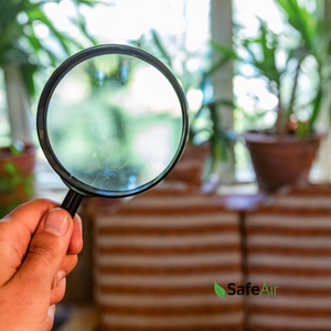 indoor air quality testing