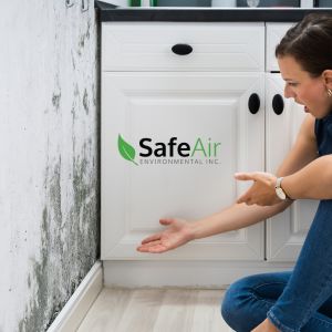 mold testing and inspection Toronto