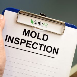 How a Mold Inspection Can Lead to Enhanced Air Quality