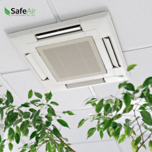 air quality testing