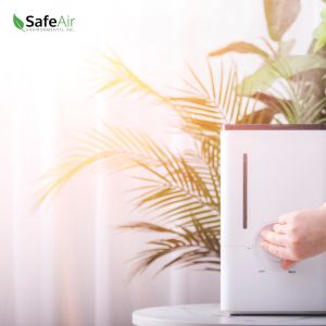air quality testing