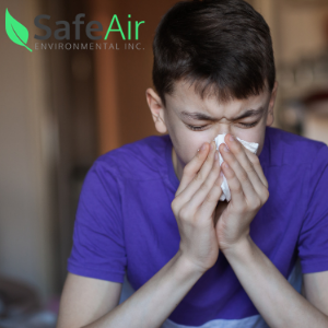 allergies from poor indoor air quality
