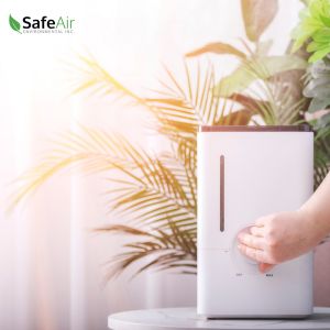 home air quality testing