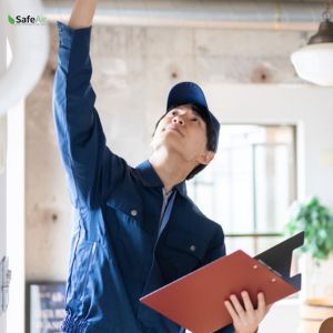 Mold Inspection in Burlington