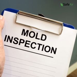 mold inspection toronto