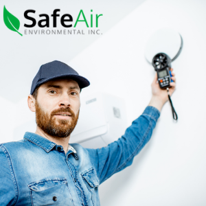 mold inspection toronto