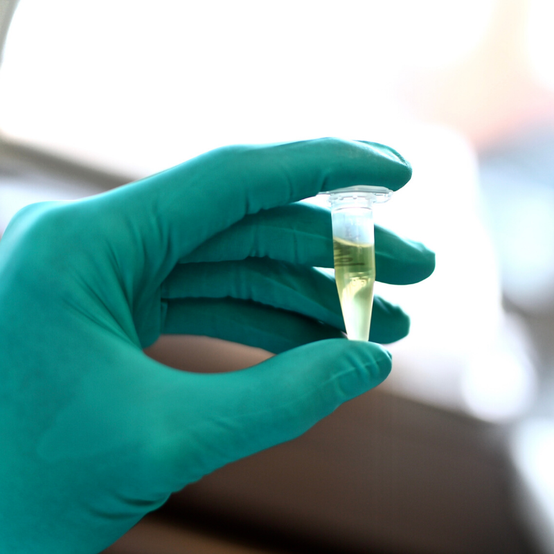 mold testing toronto