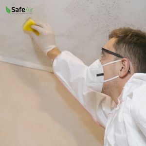 mold testing mississauga