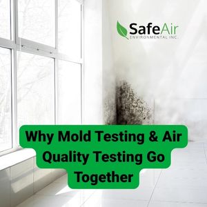 radon testing in Toronto homes when there's mold