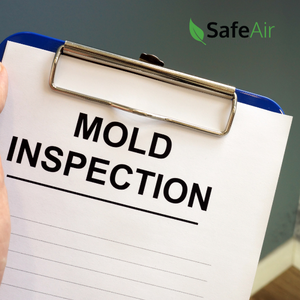 mold inspection Toronto